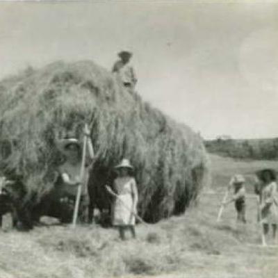 Antiguas